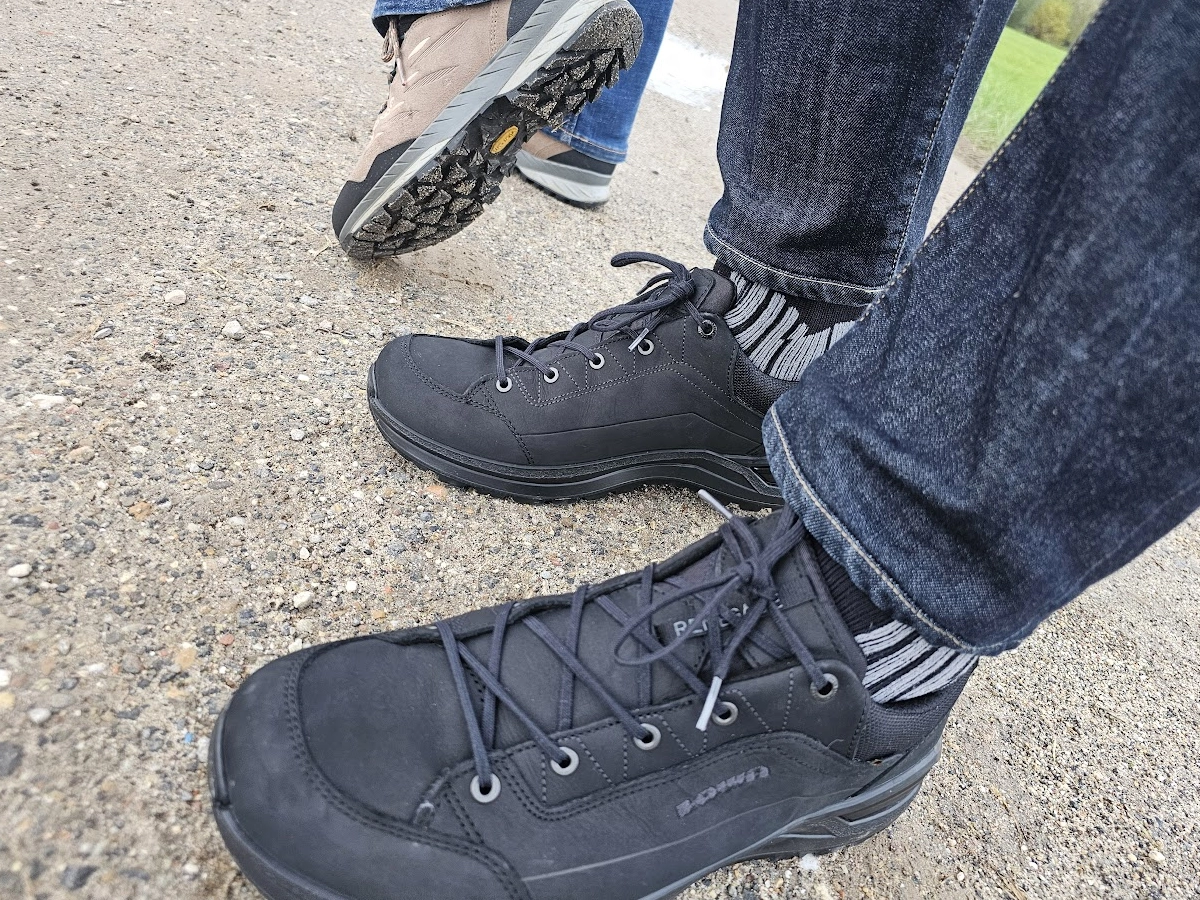 beste hiking schoen lowa renegade lo